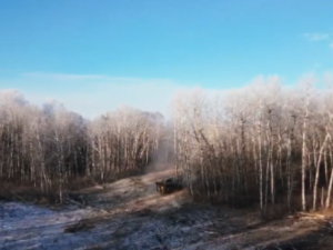 Lot Clearing