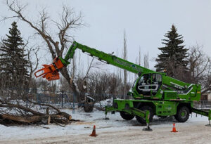 Arborist Sherwood Park
