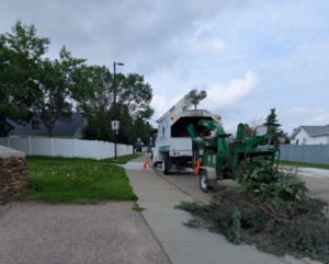 tree removal Edmonton