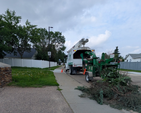 tree removal Edmonton