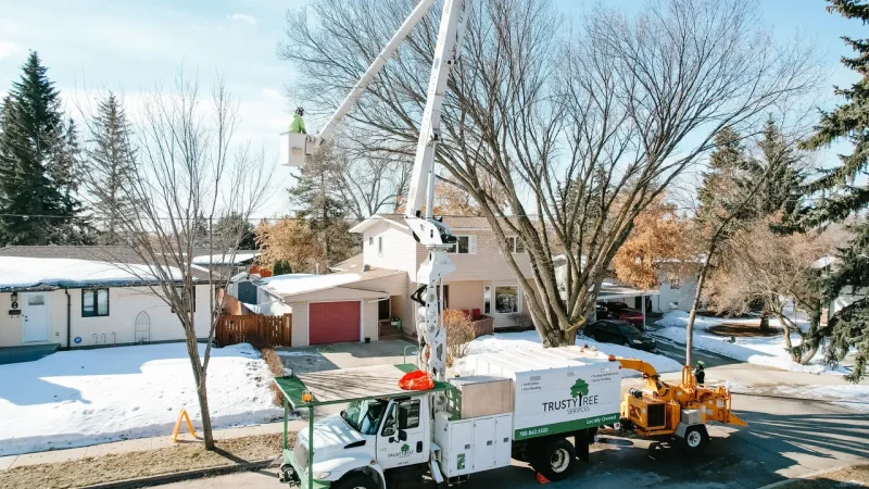 Tree Pruning 2