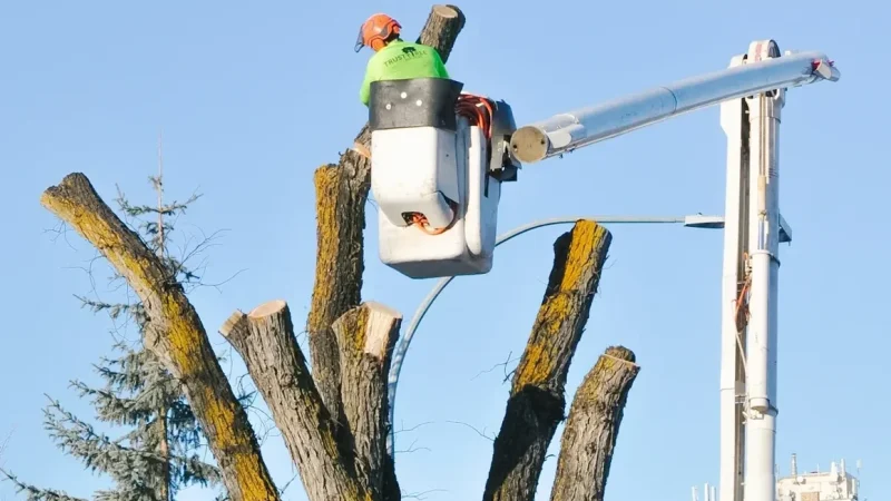 Controlled Dismantling
