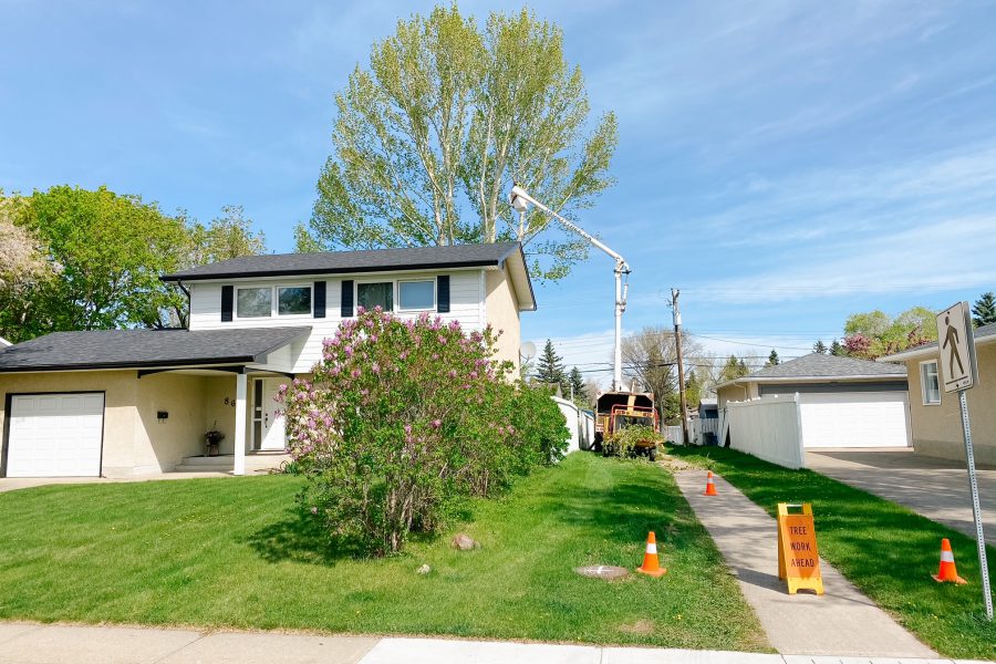 Tree Pruning