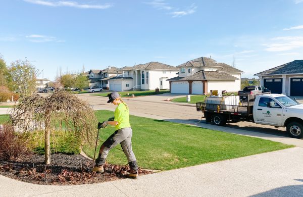 Fertilizing