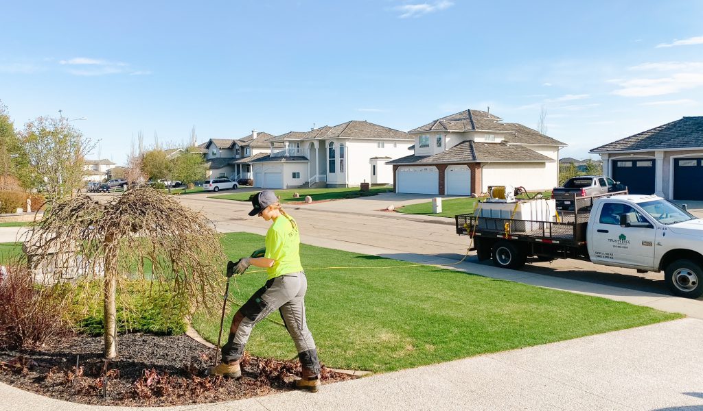 Fertilizing
