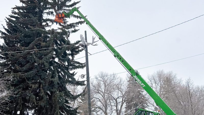 Crane assist