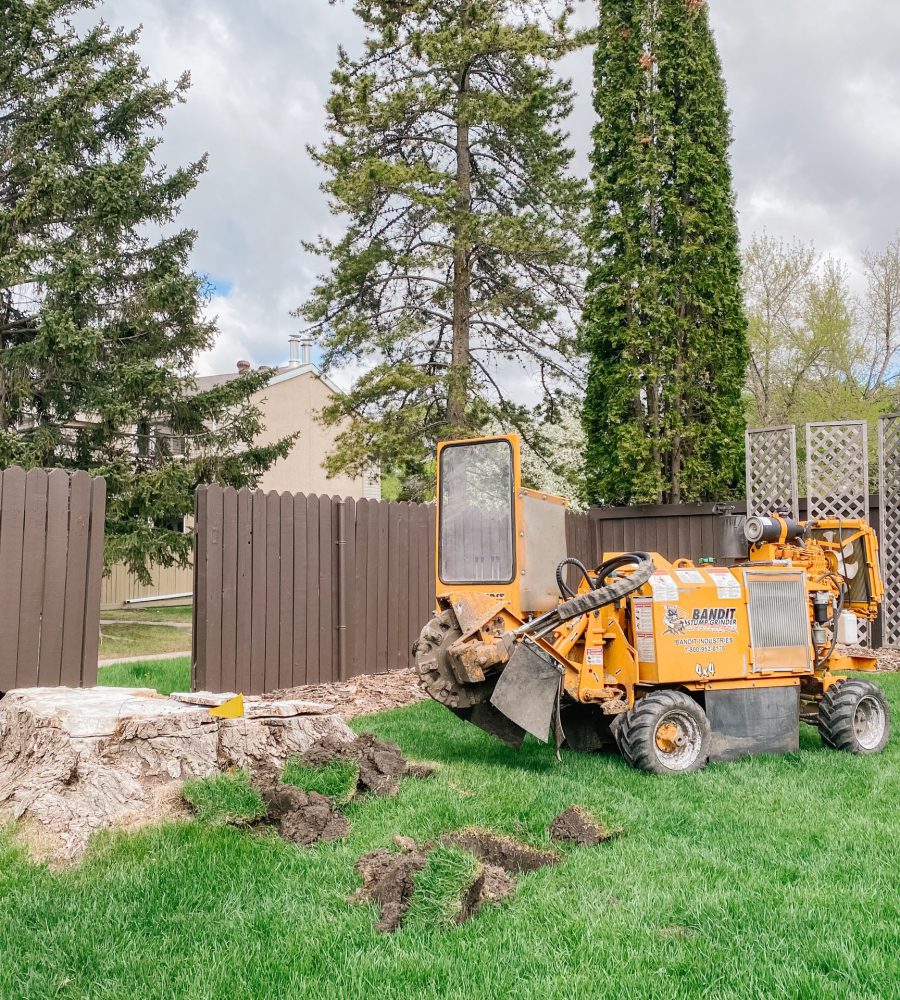 Stump Grinding 1