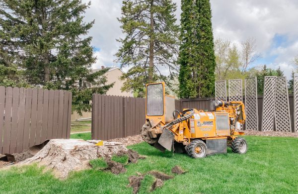 Stump Grinding