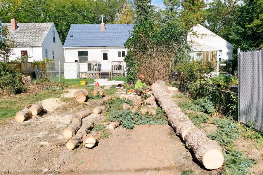 Tree Removal Edmonton