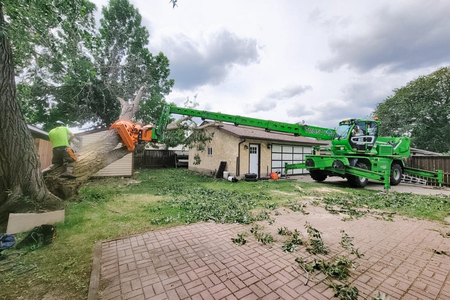 Mature Willow Tree Failure on Client Garage, Merlo Assistance edited