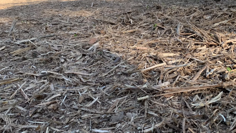 ground stability