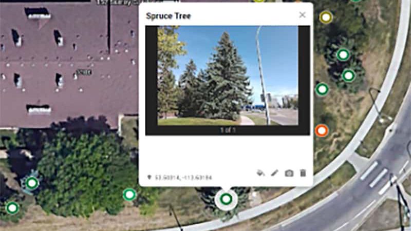 Municipal-Tree-Inventory-Photo-2