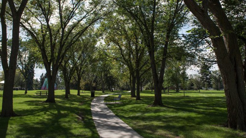 Open-Space-Trees-maintained-800x494