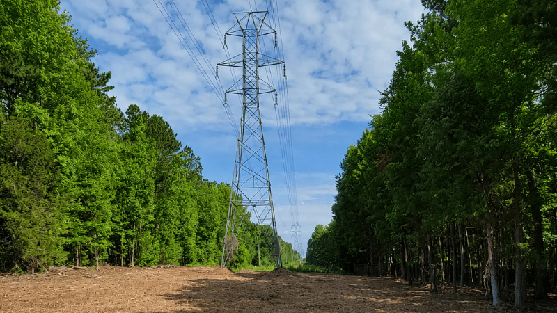 Powerline Tree Maintence
