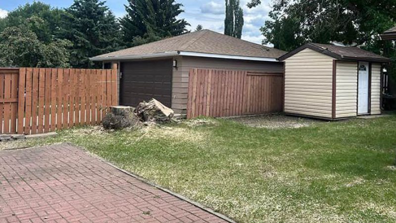 Stump-Grinding-Photo-04
