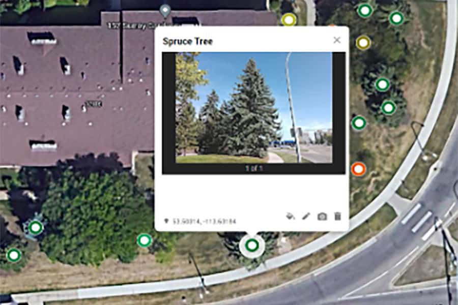 Tree-Inventory-Site-Mapping-Photo-2-rl0hdjucce9upv96ggo3u7hf1o2a2426x11vdk5hm8