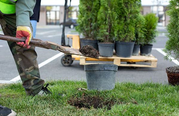 Tree-Planting-image