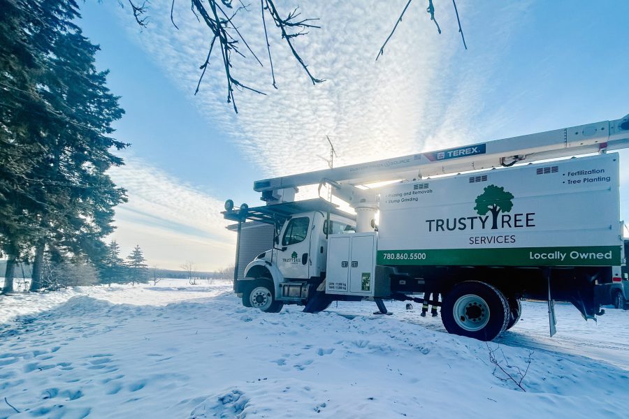 Trusty Truck