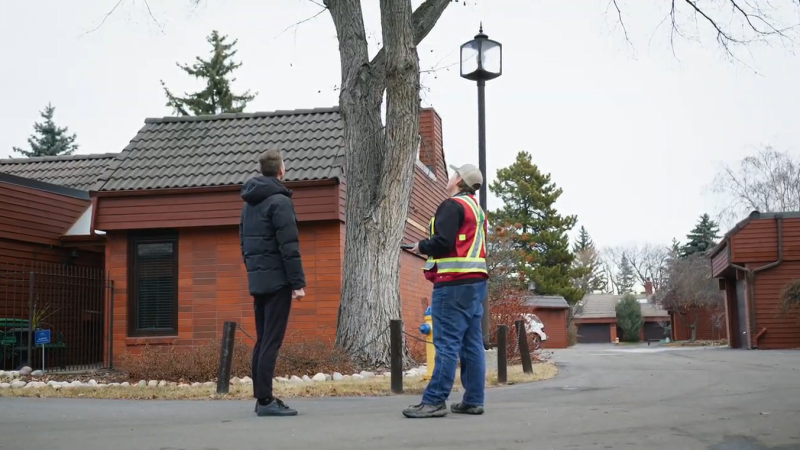 Tree assessment 2