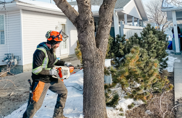 cabling and bolting Edmonton