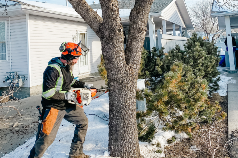 cabling and bolting Edmonton