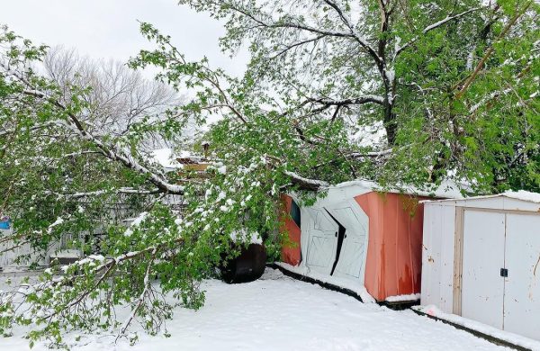 failure on shed