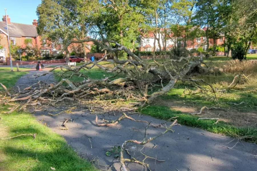 park fail