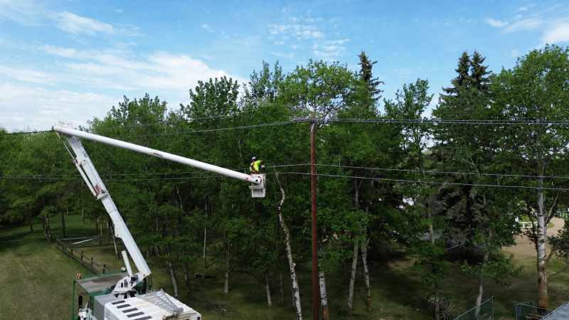 powerline trimming