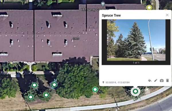 tree-mapping